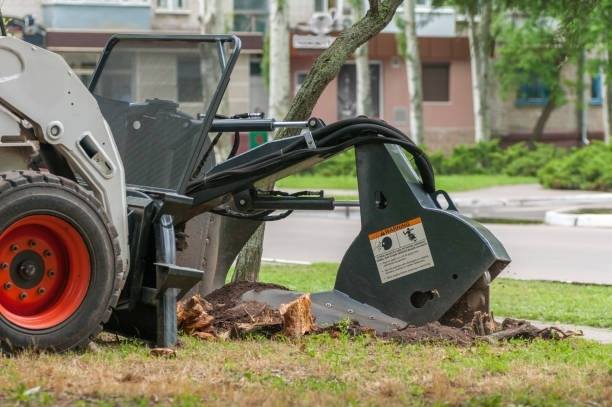 How to Use a Stump Grinder