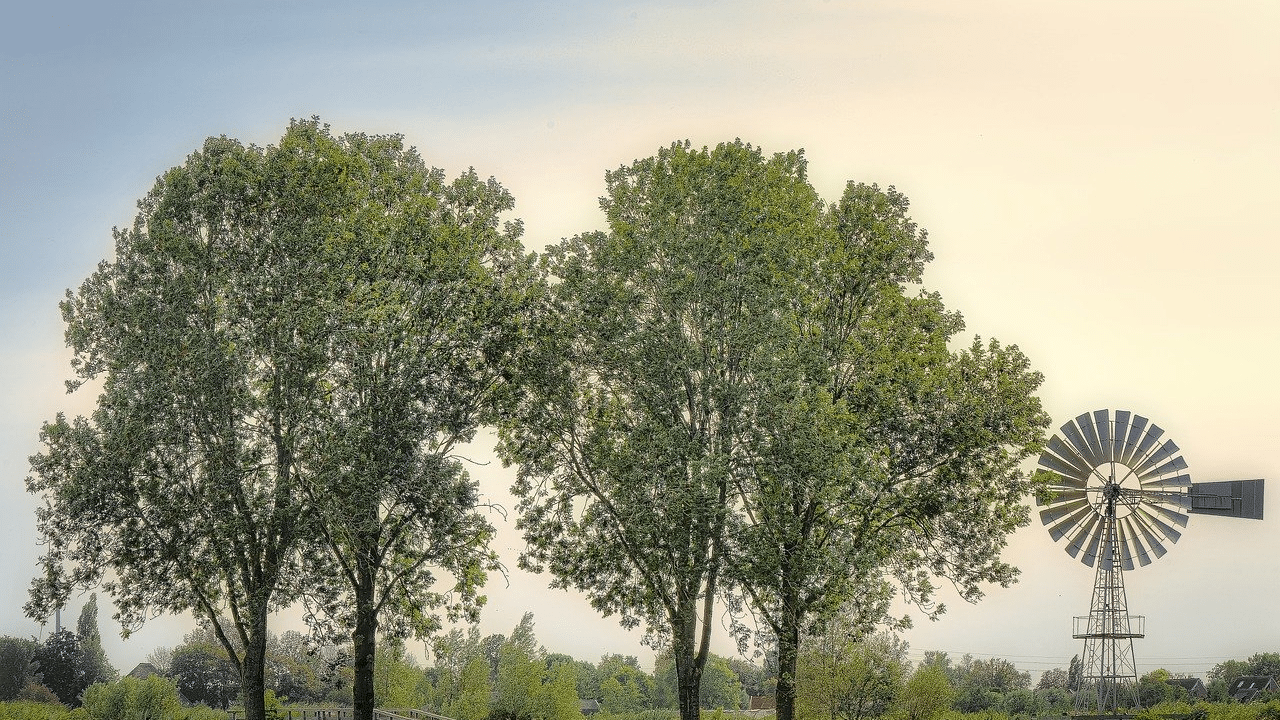 how to stop tree growth?